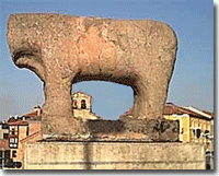 Toro de Salamanca
