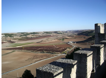 Vista des del castell