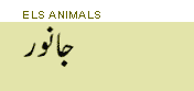 els animals