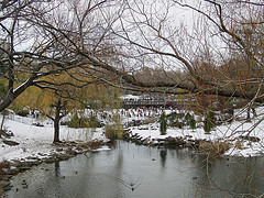 Central Park a l'hivern