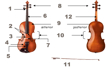 El violí